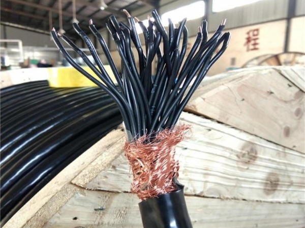 阻燃屏蔽控制電(diàn)缆