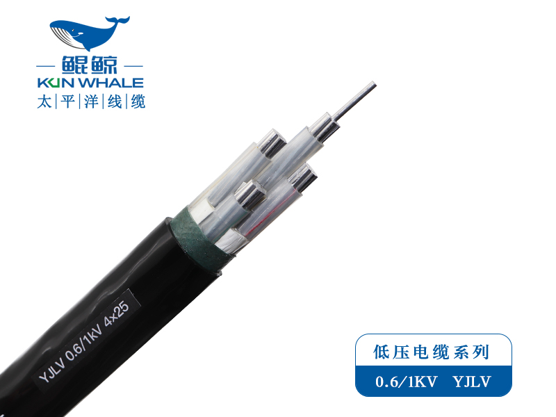 ZC-YJLV 0.6/1KV  铝芯低压電(diàn)力電(diàn)缆系列