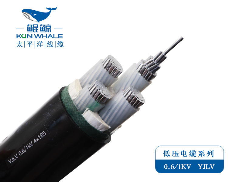 ZC-YJLV 0.6/1KV  铝芯低压電(diàn)力電(diàn)缆系列