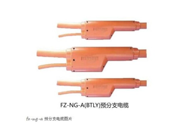 FZ-NG-A(FZ-<i style='color:red'>btly</i>)防火分(fēn)支電(diàn)缆