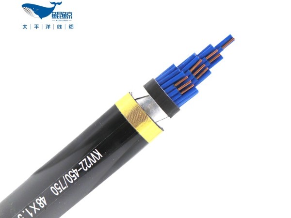 KVV22-450/750 48x1.5铠装控制電(diàn)缆